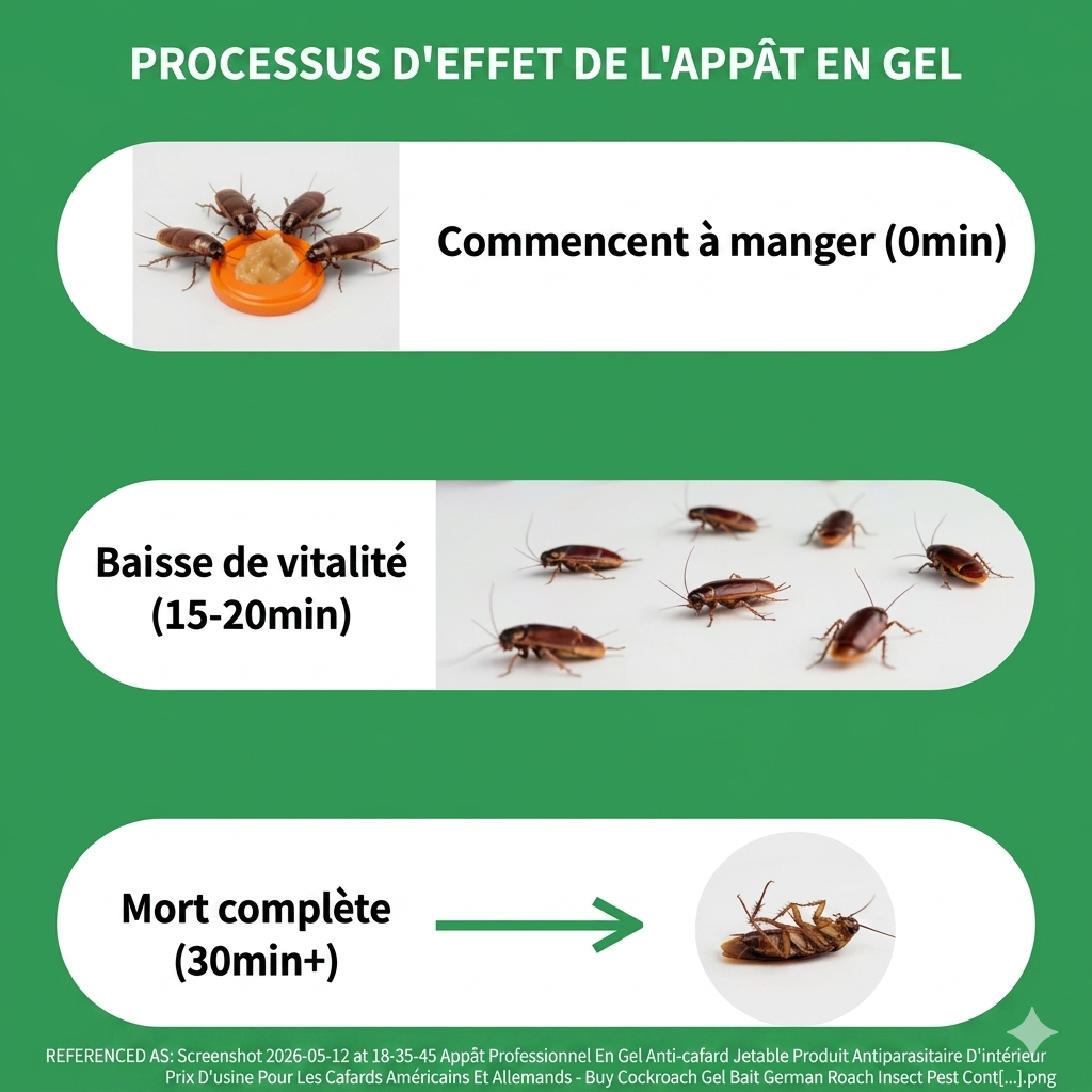 "Fini les Cafards en 3 Jours — Gel Anti-Cafard Professionnel, Sans Odeur, Sans Danger pour Tes Enfants"