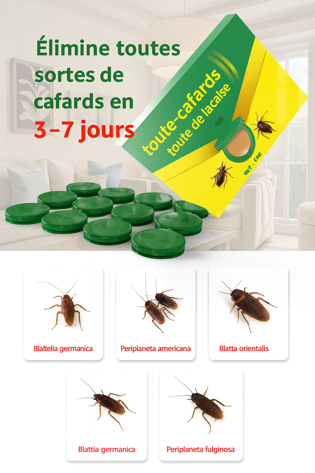 "Fini les Cafards en 3 Jours — Gel Anti-Cafard Professionnel, Sans Odeur, Sans Danger pour Tes Enfants"