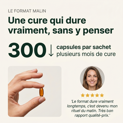 Huile d’Origan & Nigelle — Deux Trésors Naturels, Un Seul Geste Chaque Jour ( CIV )